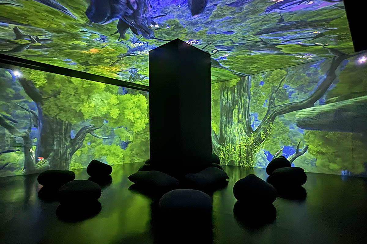 ゾーン3：擬態する森