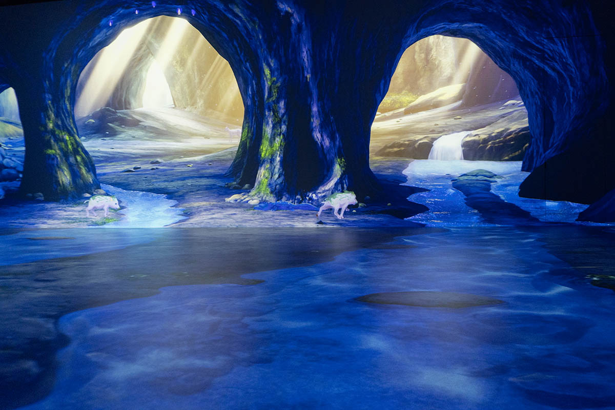 ゾーン4：闇にふれ、光と踊る