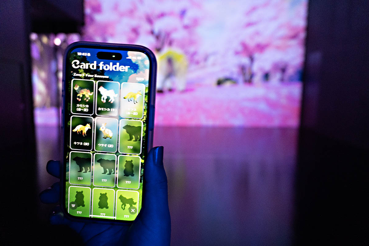 カードとしてコレクション