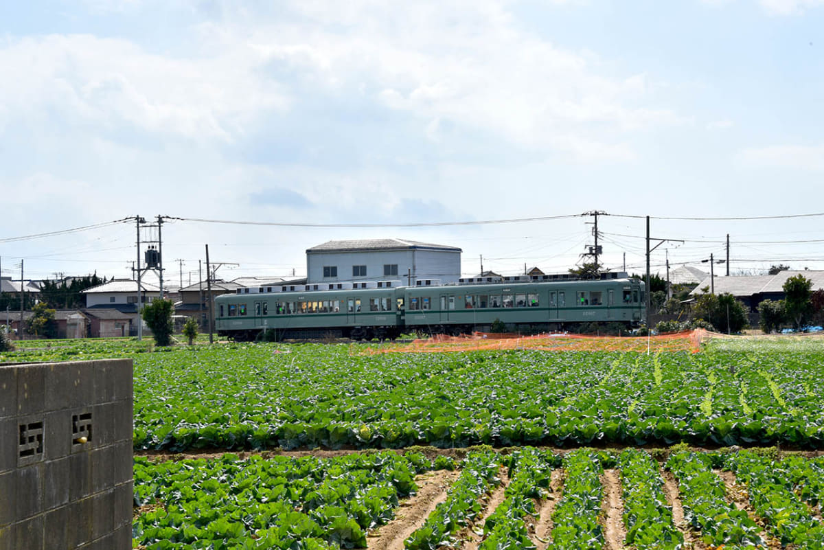 キャベツ畑の間を走る銚子電鉄の電車