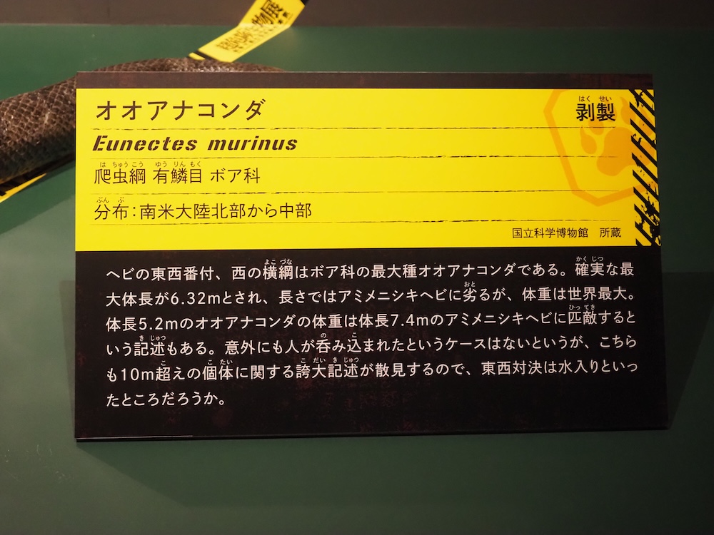 オオアナコンダの解説パネル。概要のほか、学名や分類、分布などが記されている