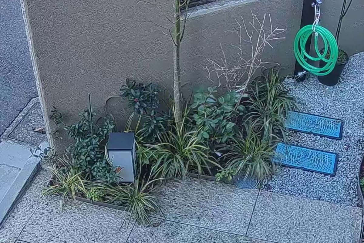 こちらは新モデルだが、路面の凹凸や砂利、植物の葉など細かいところまでしっかり写っていることがわかる
