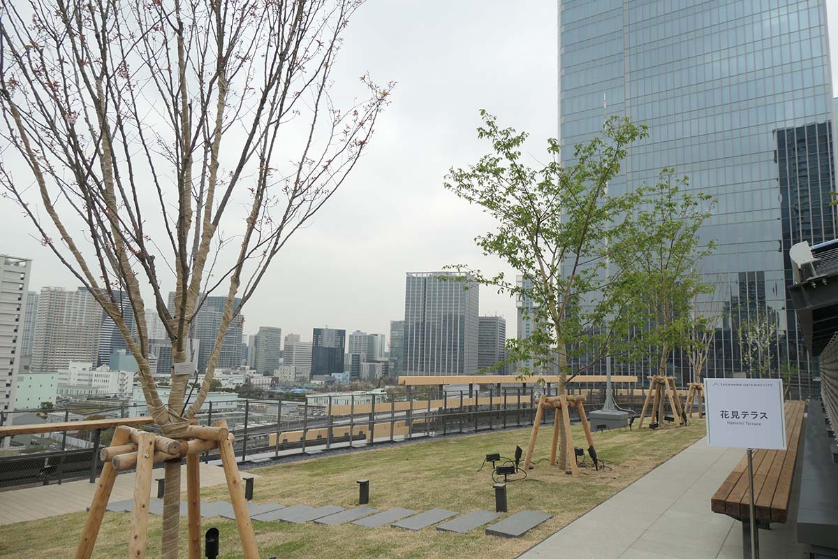 花見テラス。今年の桜は終了したとのこと