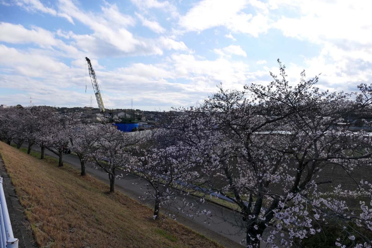 今後、本格的な掘削が始まる