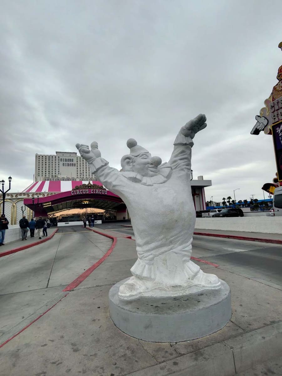 Ray-Ban Meta内蔵のカメラを使って撮影した写真