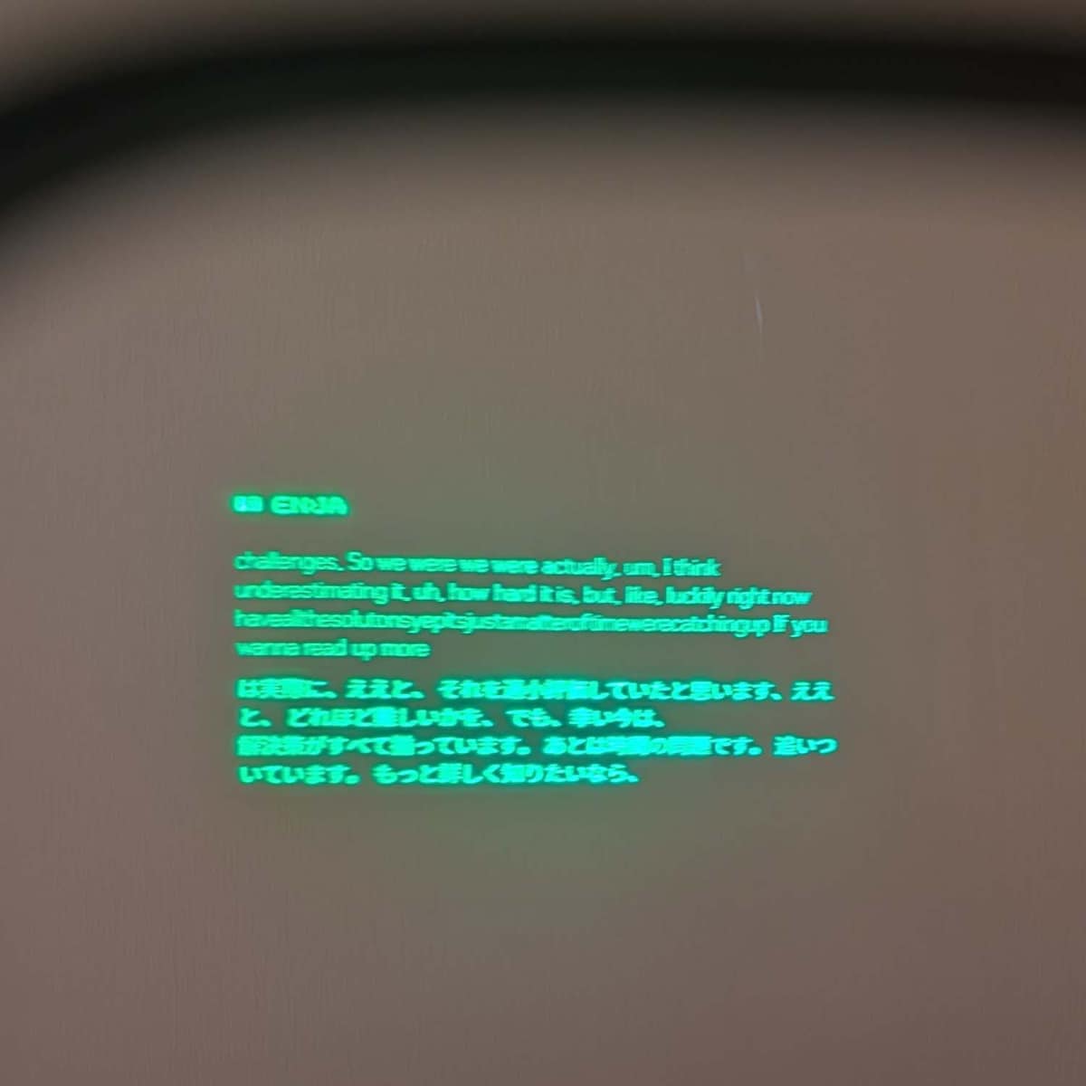 緑1色ではあるが、このように翻訳された文章が目の前に表示される