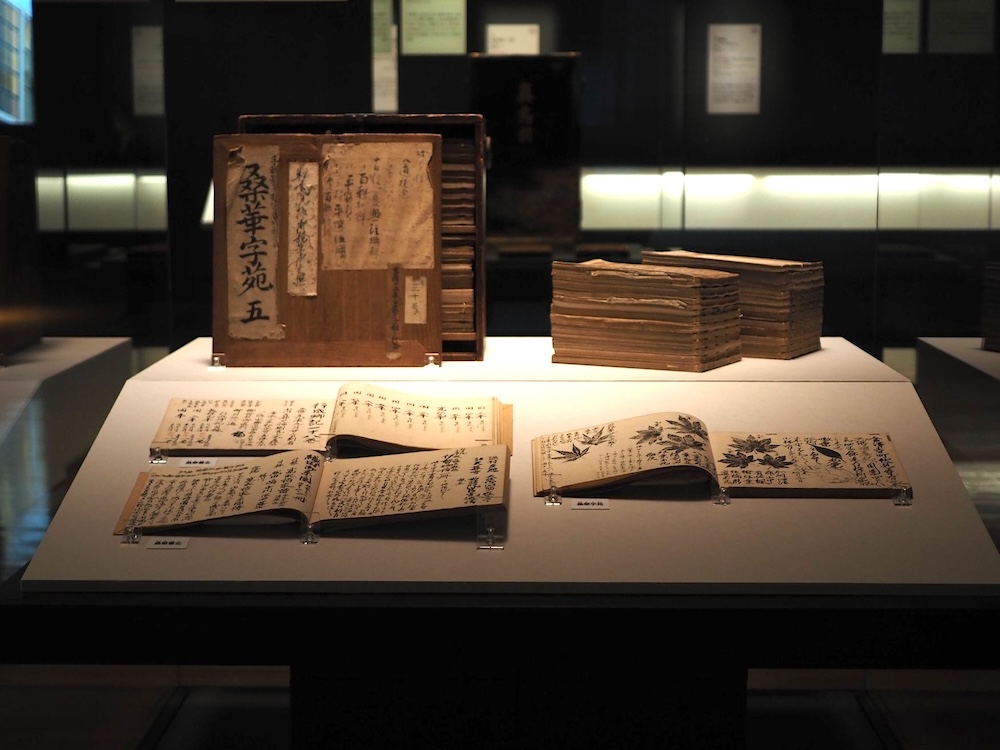 前田綱紀筆《桑華字苑・桑華書志(付属)収納箱》