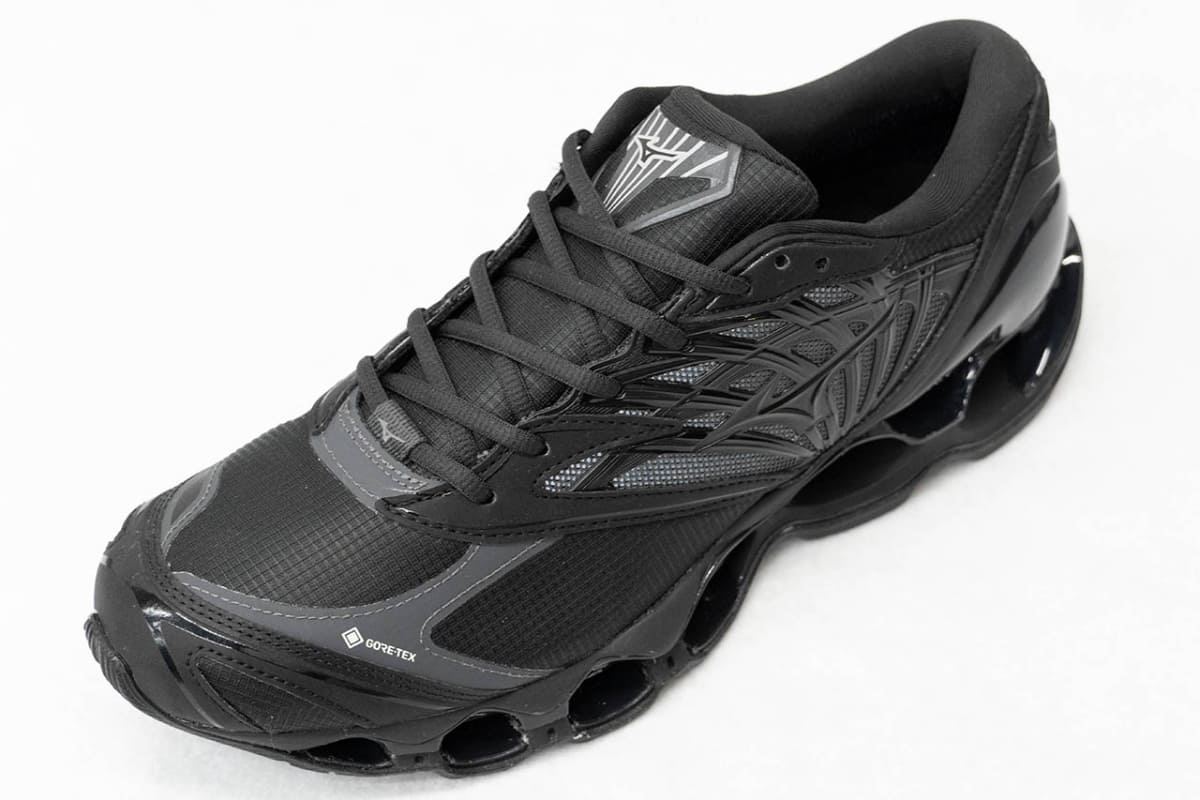 WAVE PROPHECY LS GTX(31,900円)