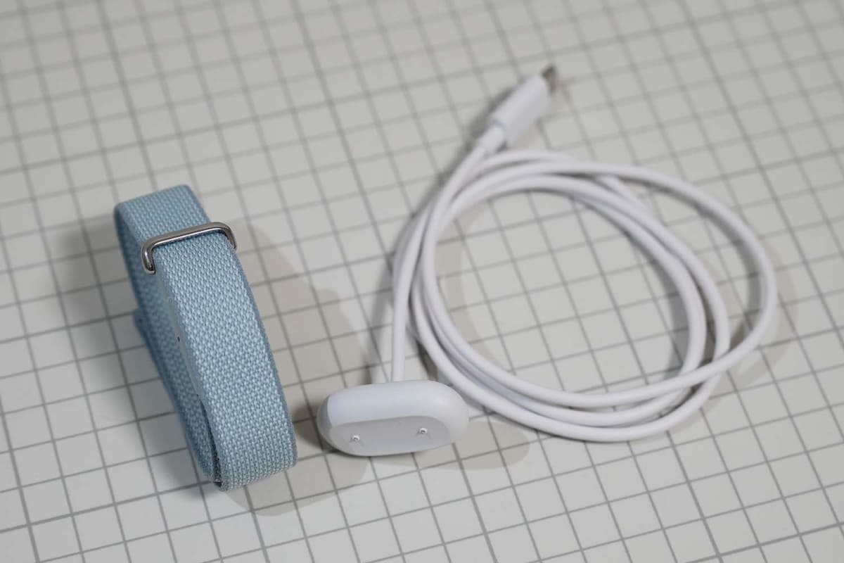 同梱物はバンドと充電器のみ