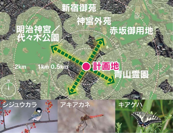 半径2km圏内の大規模緑地と誘引想定の生物例