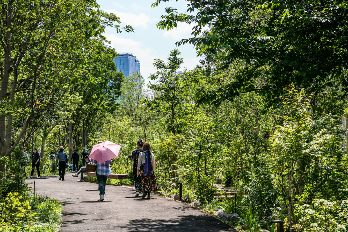 先行地区の「樹林帯」