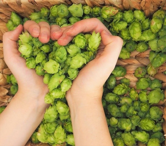 TAKANAWA HOP WAY