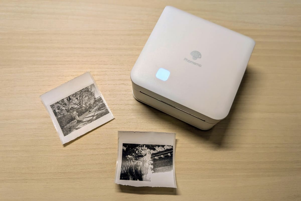 撮影した写真はPhomemo M02 Proで印刷しています