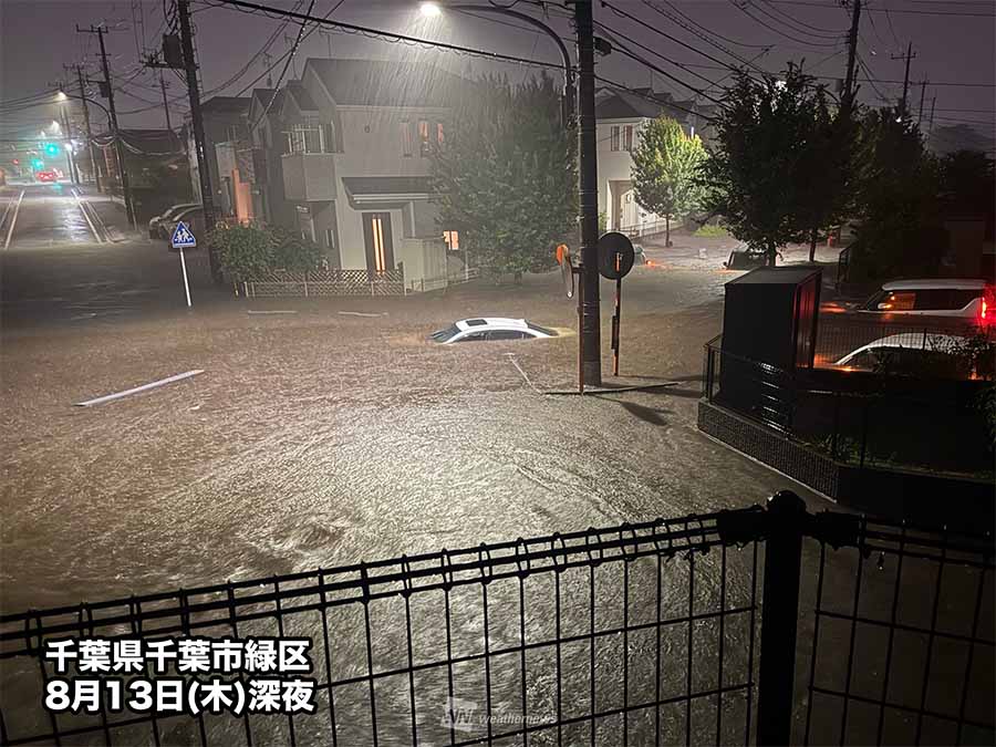 被害報告