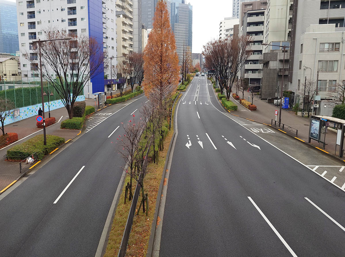 中央分離帯等が設けられ、自動車の通行が往復の方向別に分離されている一般道路の例