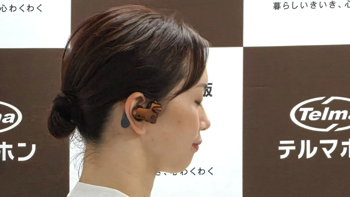 装着イメージ