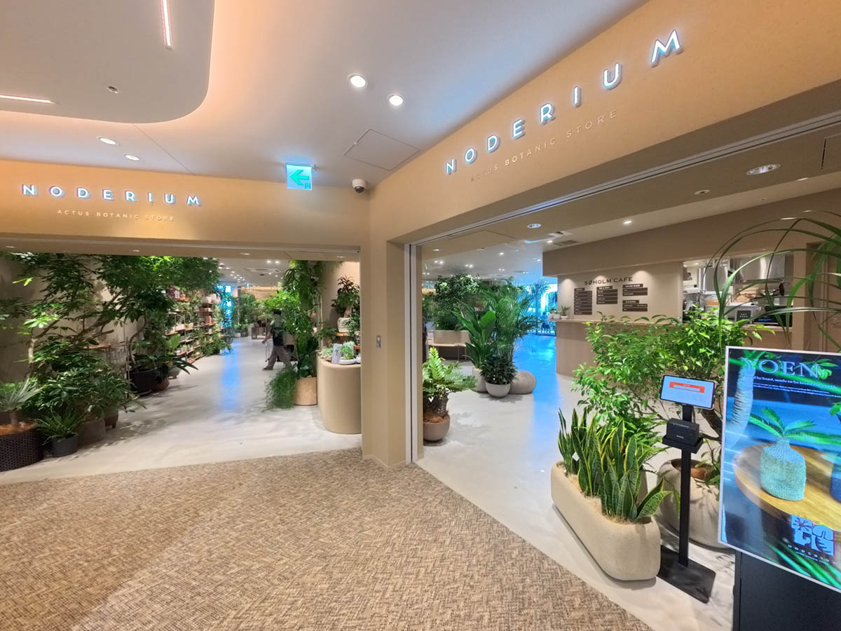 カフェとインテリアショップが1つになった「NODERIUM/SOHOLM CAFE」