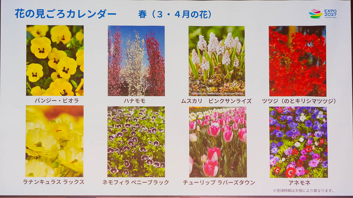 春の花
