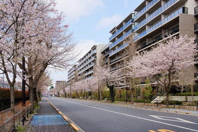 さくら通り沿いの南側外観