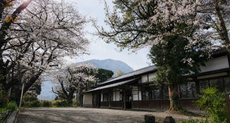 東別府駅(桜の季節)