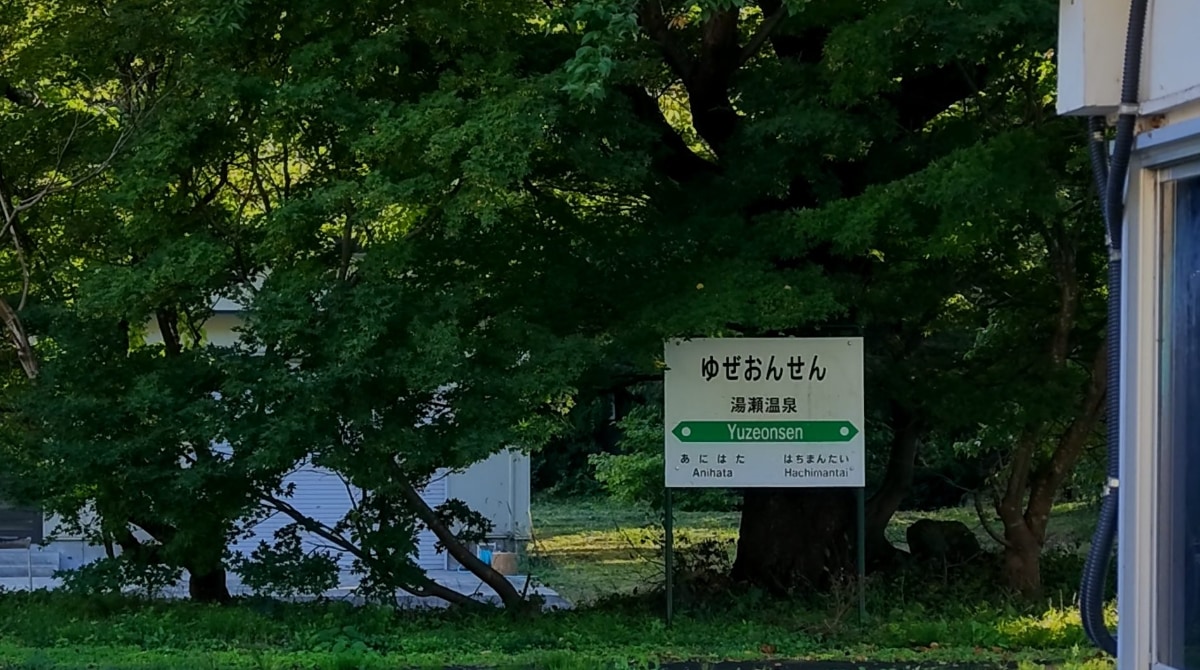 中望遠(およそ3倍～5倍)