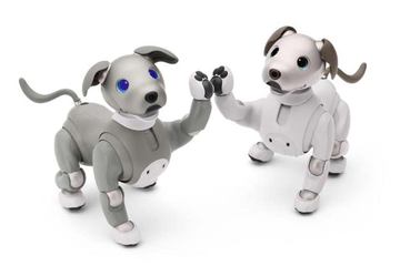 aibo 本体　★動作確認済み image.php?aid=61632