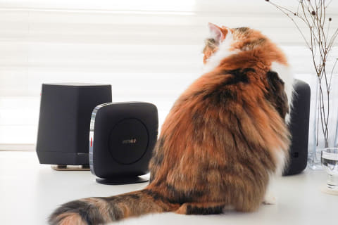 バッファローのWi-Fi 6ルーターを「Wi-Fi EasyMesh」のコントローラに