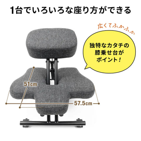 姿勢を変えてさまざまに利用できるバランスチェア「150-SNCH051