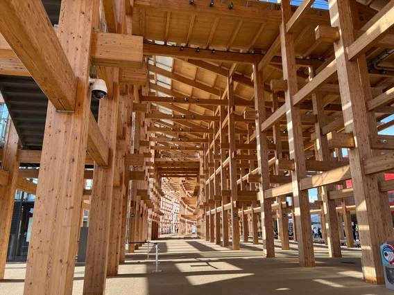大屋根リングは今までに類を見ない巨大木造建築になっている