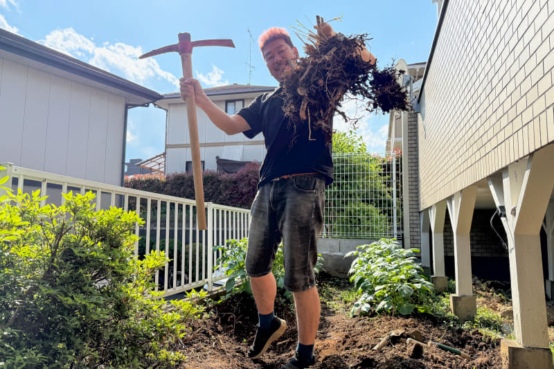 まずは、大きな木の根の周りに絡みついているツツジの残骸の根を排除。周りを掘って、ツルハシで引き起こす！