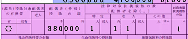 		源泉徴収票の人的控除の記載欄