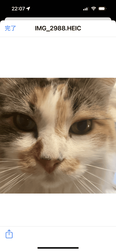 ファイルをタップするとHEIC写真が表示される。［完了］で閉じる