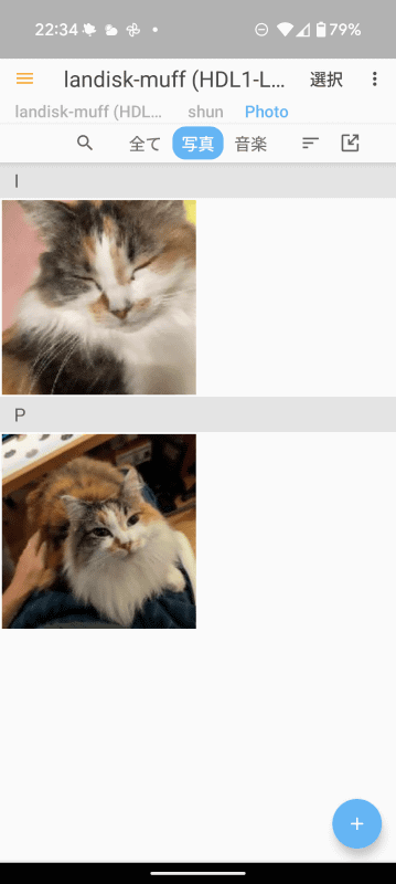 ［写真］タブでも、HEICは写真として認識されない仕様