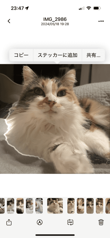 写真サムネールをタップし詳細表示にすると、このように横スクロール表示になって見やすい。写真をタップすると、写真アプリ同様にステッカー登録なども可能