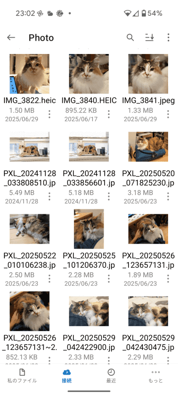 先ほどの［接続］タブでコピーされたか確認してみよう。HEICもJPEGもサムネイルが表示されているので、わかりやすい