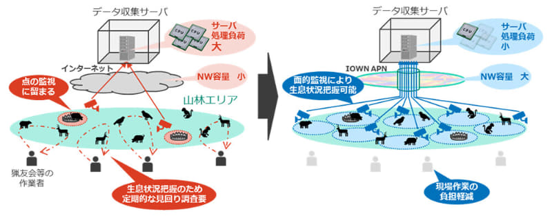 本実験で確立された通信制御技術による将来の野生鳥獣監視モデル