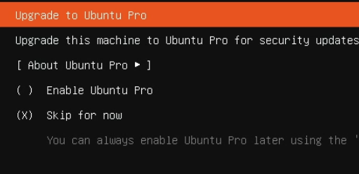 Ubuntu Proはスキップ