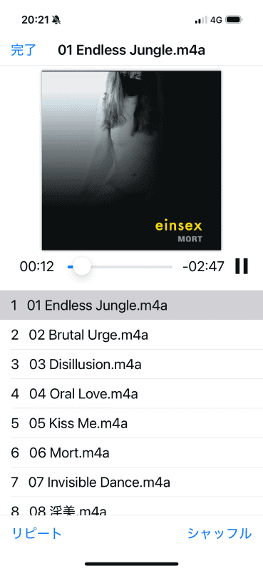 ファイルのタグ内に画像を保存すると表示される。このフォルダー内は自動で連続再生される