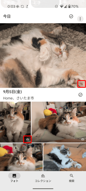 クラウドアイコンが無いカットは端末にのみ保存、クラウドアイコンがあるカットはバックアップ済みを示している