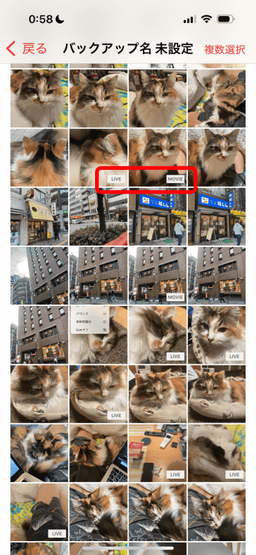 ［閲覧］では写真と動画がサムネイル表示され、LivePhotosや動画を区別できる