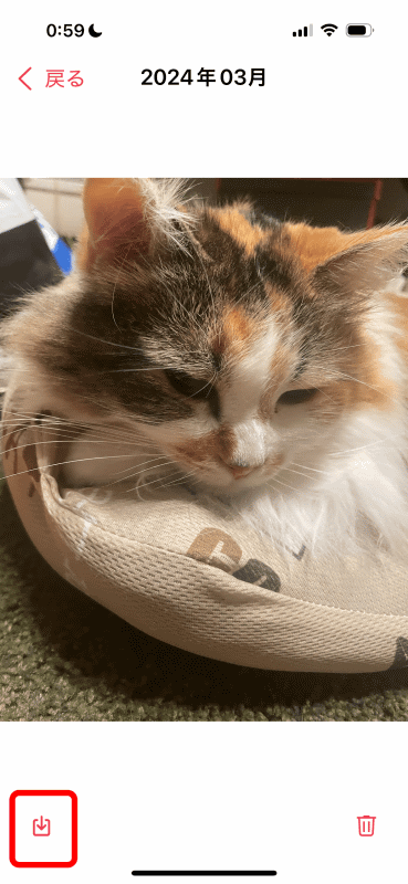 サムネイル表示で写真や動画をタップすると単独表示になる。LivePhotosはここでロングタップすると動画表示になる。書き戻したい場合にはダウンロードボタンをタップ