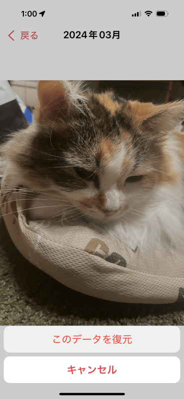［このデータを復元］を選択すると、iPhone本体に書き戻される