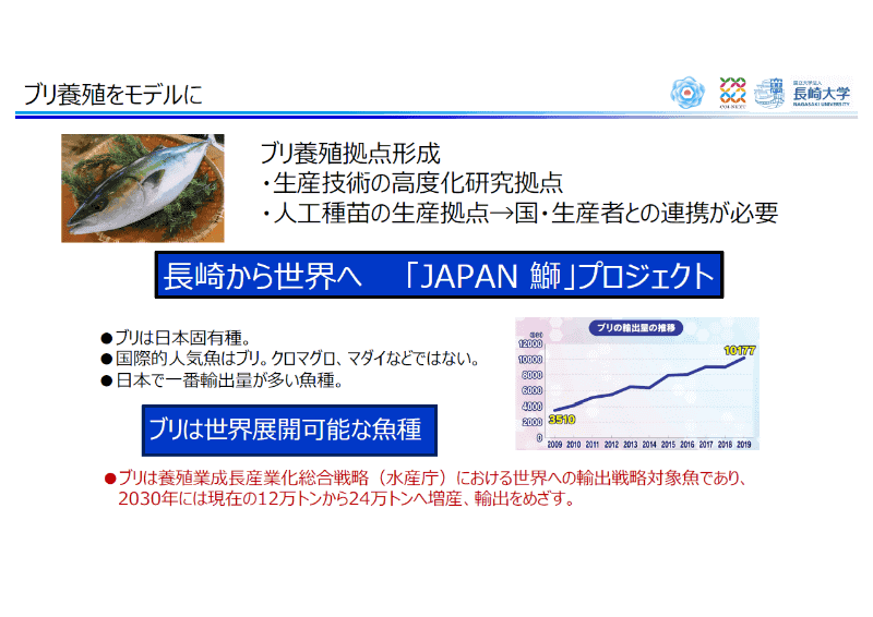 国際的な競争力のあるブリは、人工種苗を使って海外市場へ