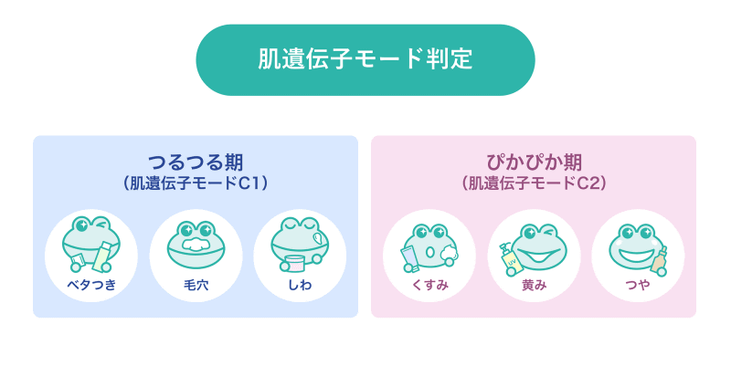 肌遺伝子モードの判定例