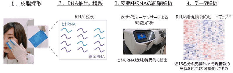 皮膚からRNAを採取するためには、皮膚を切り取るなど肌に傷をつける手法が一般的だが、「皮脂RNAモニタリング」技術では皮脂から安定的に抽出できるように