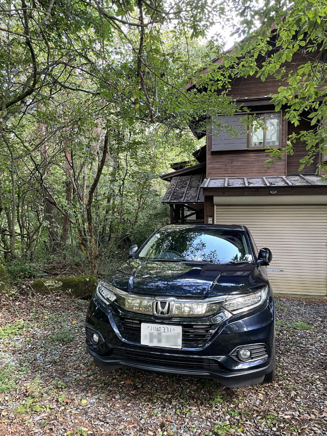 白樺林の中にポツンポツンと別荘が建っている