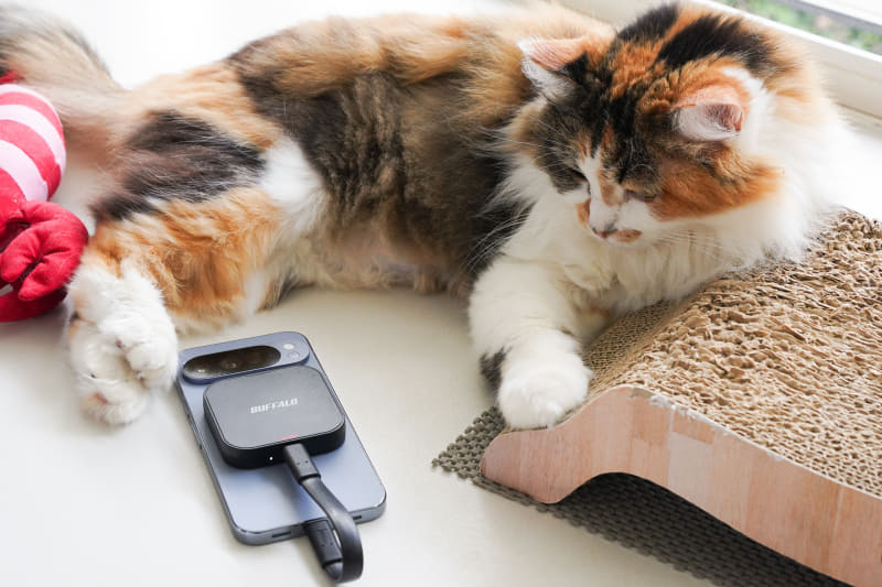 バッファローの外付けSSD「SSD-PMS1.0U3BA」にスマートフォンの写真をバックアップしている