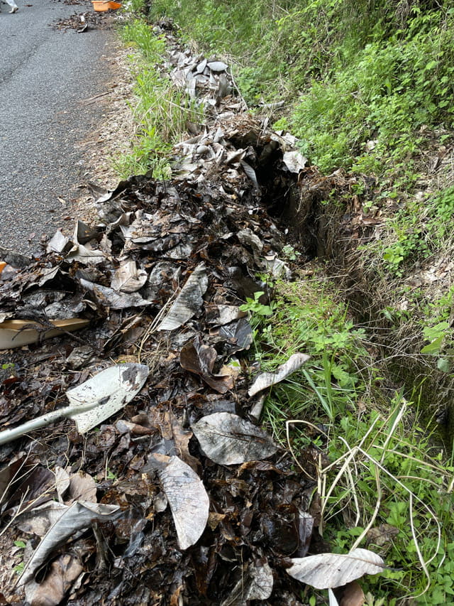 県道の側溝に溜まった枯れ草の除去
