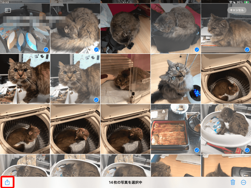 バックアップしたい写真をまとめて選択する。選択したら左下の「共有」アイコンをタップ