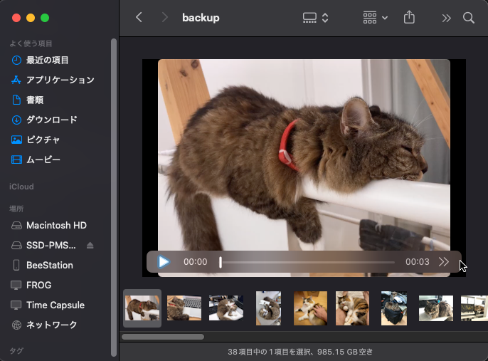 結果はパソコンで確認してもいいだろう。Macで確認すると、このような感じに見える。